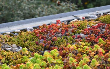the cost of White Notley green roof installation