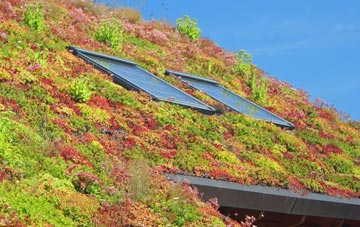 White Notley living roof systems